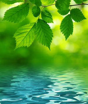 Crop