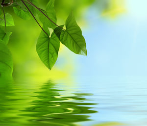 Crop