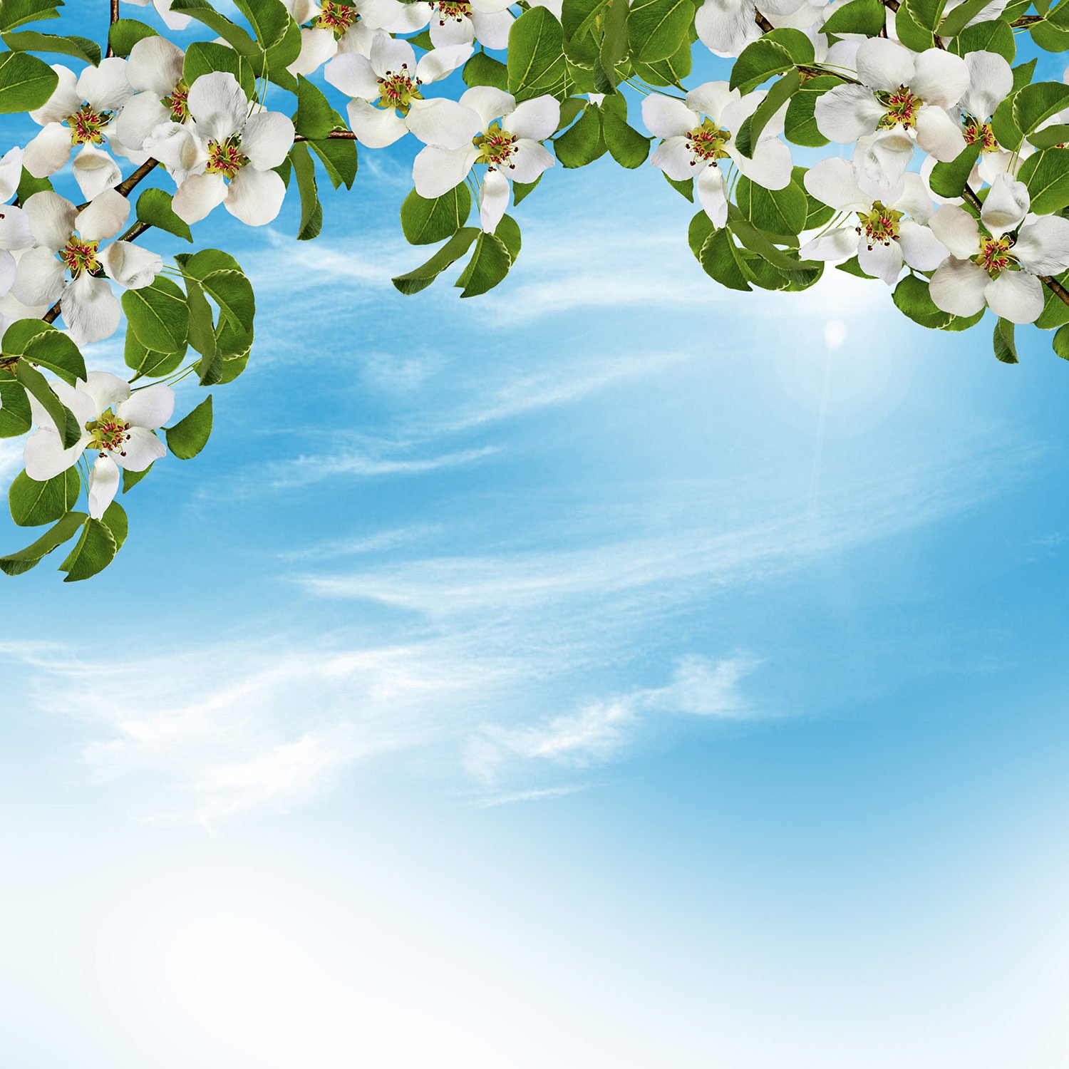 Floral Clouds D – Print A Wallpaper