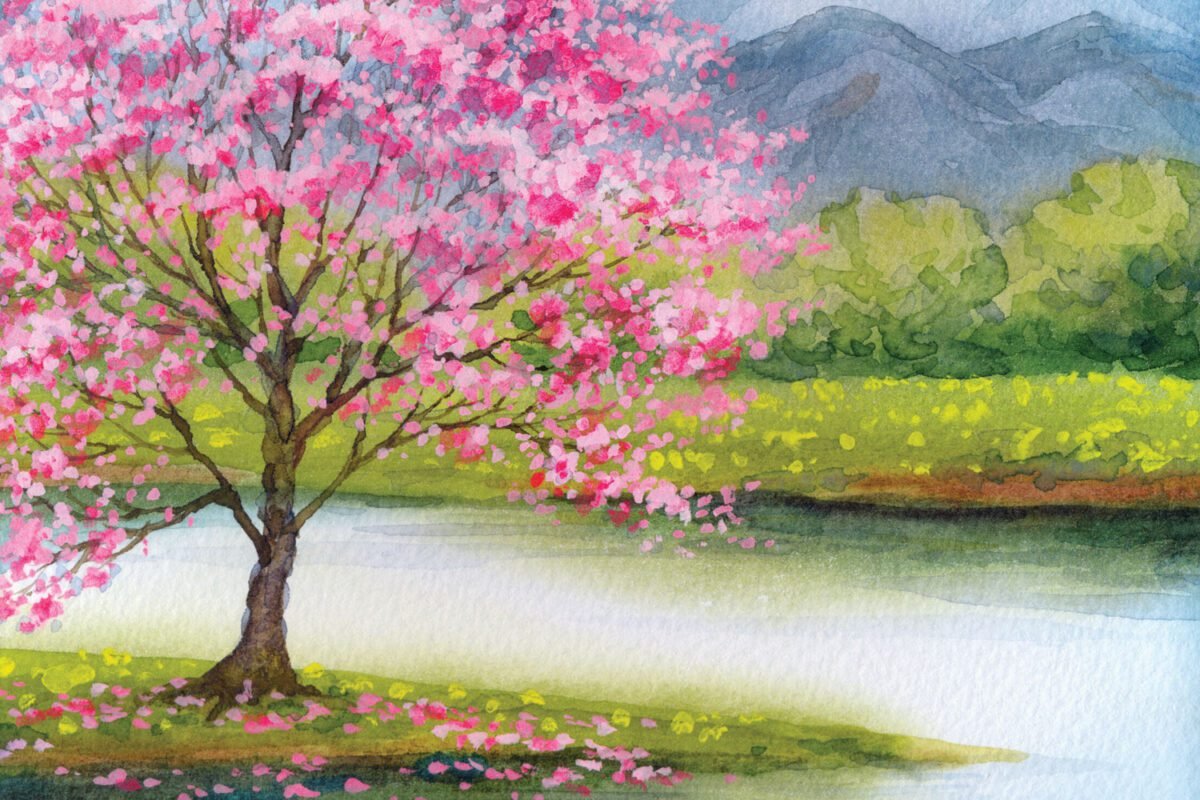 Cherry Blossom Landscape