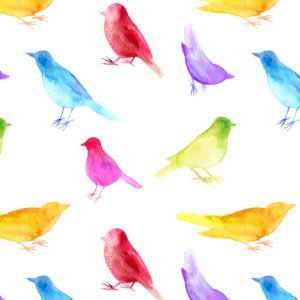 Coloured Birds