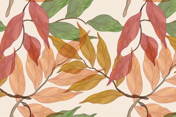 Coloured Wrinkled Leaves