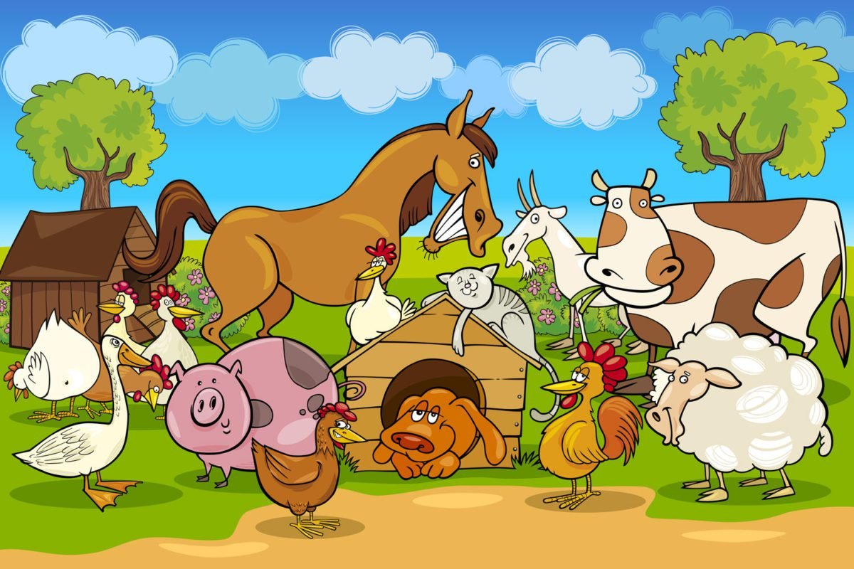 Farm Animals