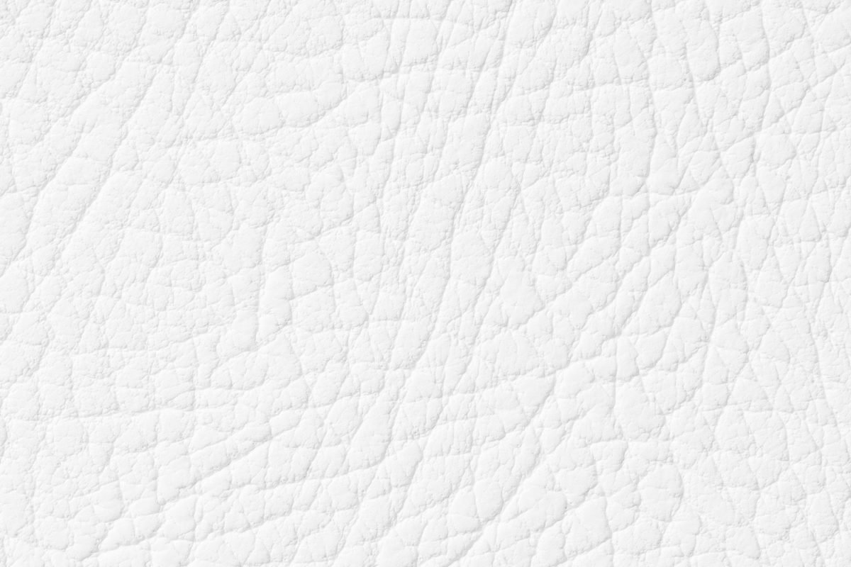 Leather Texture in White