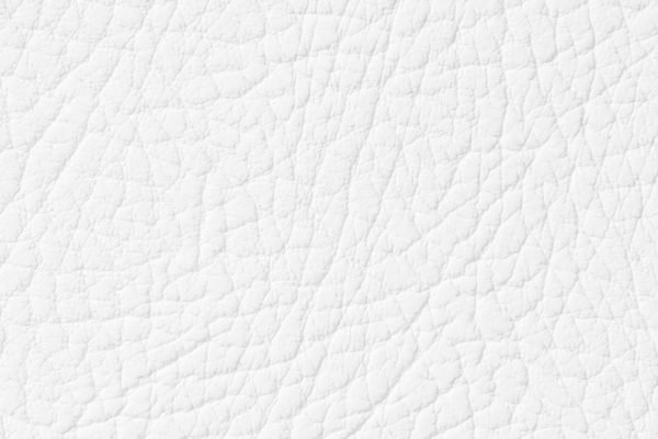Leather Texture in White