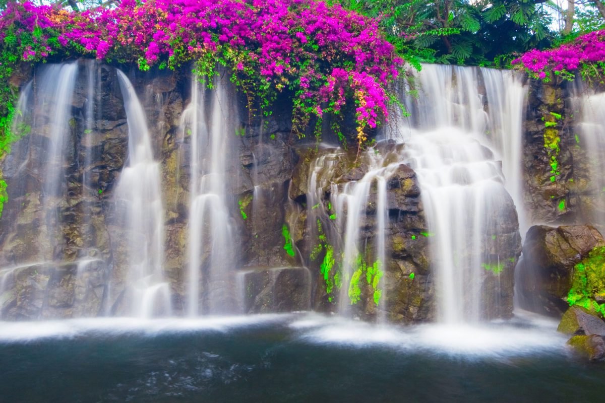 Lush Waterfall