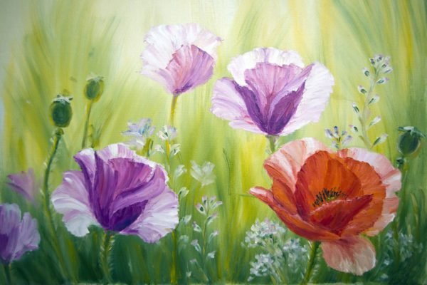 Poppies on Canvas