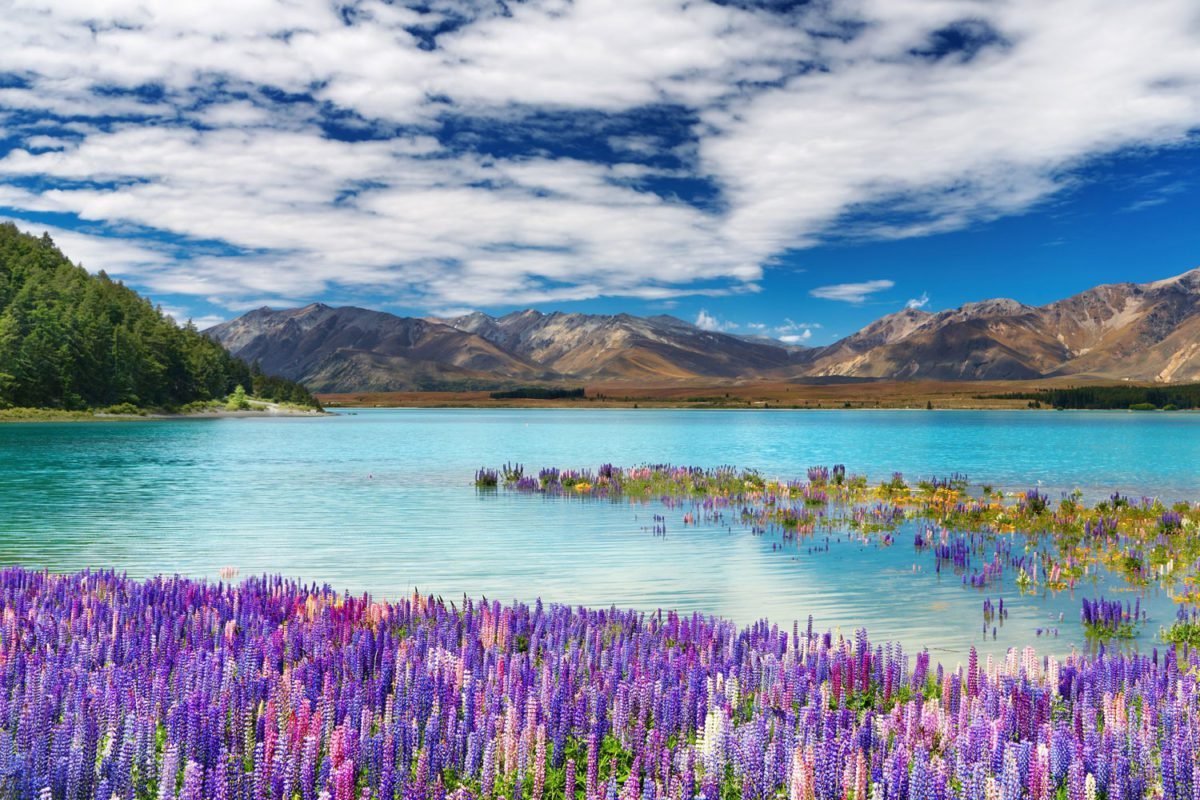 Purple Lake Mountains