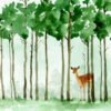 Spotted Deer Forest
