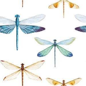 Watercolor Dragonflies