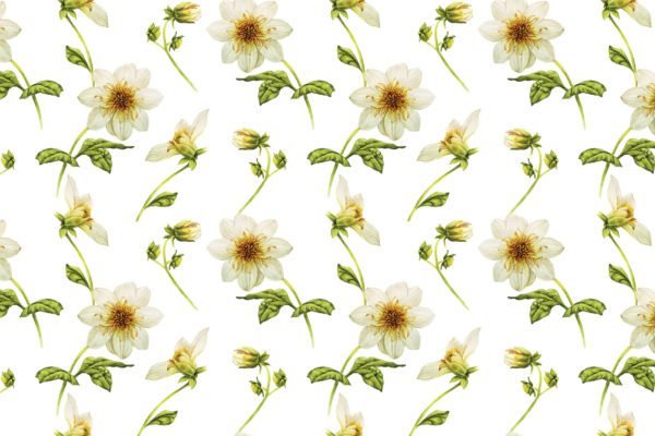 White Flowers Pattern