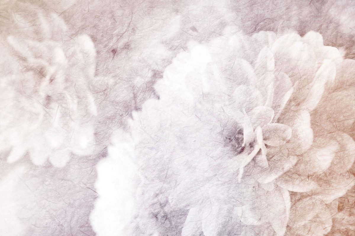 Abstract Flowers
