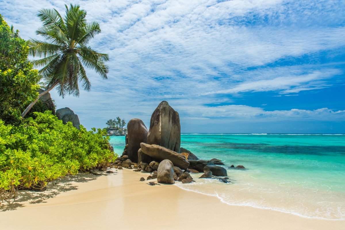 Beach Scene