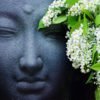 Buddha on Flowers