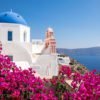 Greek Island Flowers