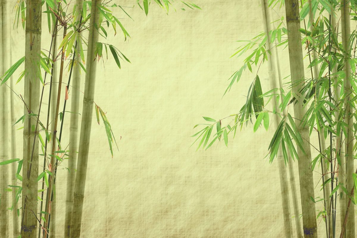 Bamboo Print Wallpaper