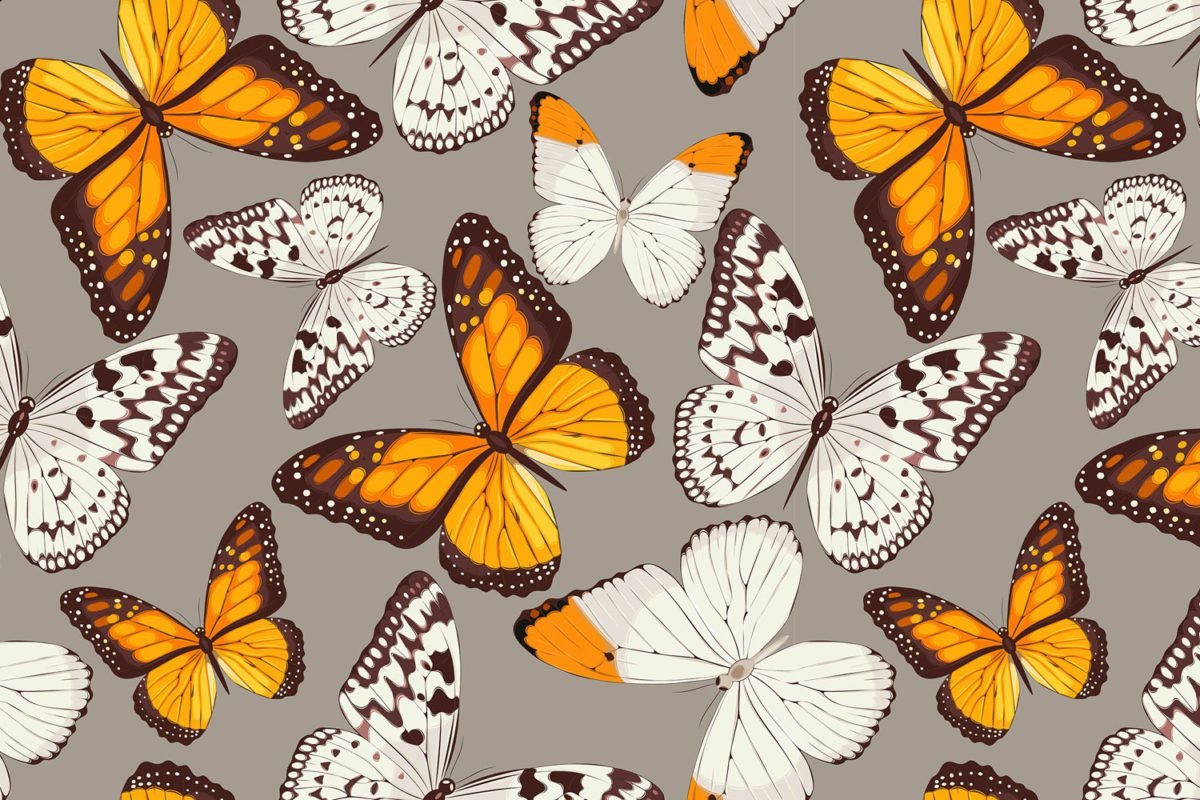 Orange Butterflies