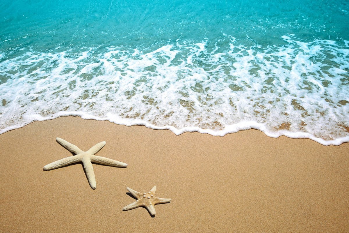 Starfish on Beach