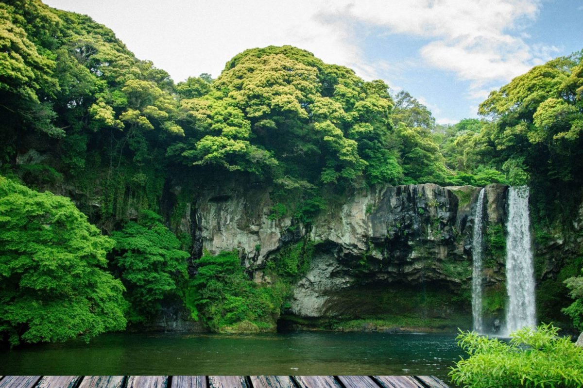 Tree by Waterfall