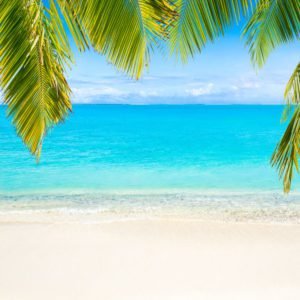 Tropical Palm Beach