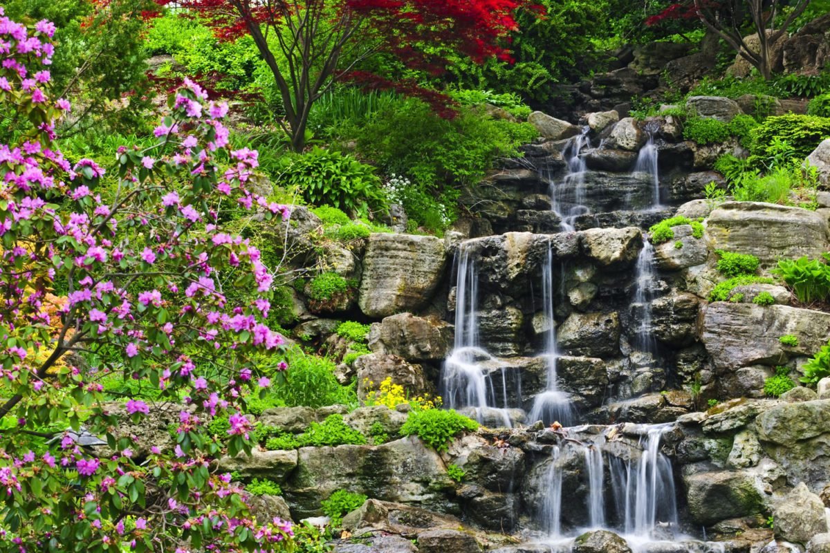 Tropical Waterfall