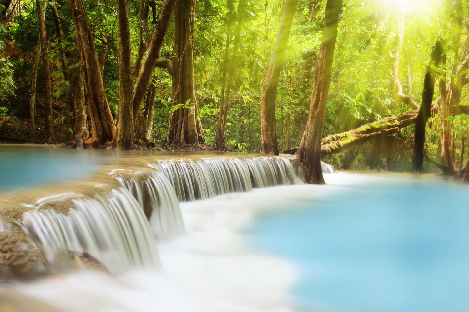 Beautiful Waterfalls Between Trees And Plants In Forest HD Nature Wallpapers  | HD Wallpapers | ID #71671