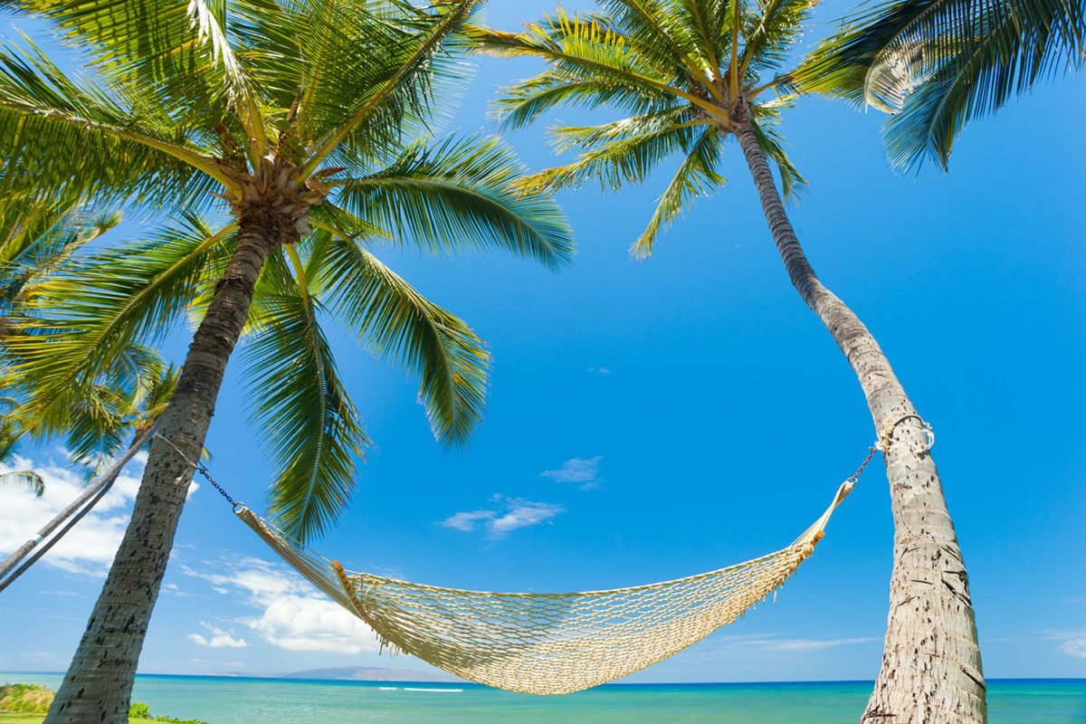 White Hammock