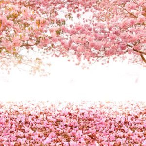 Pink Floral Trees