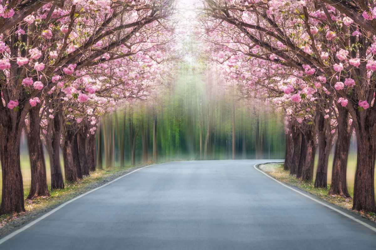 Romantic Tunnel