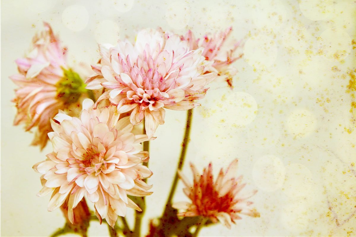 Rusted Flowers