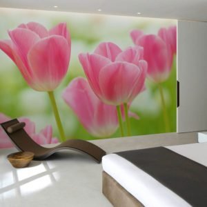 Soft Pink Tulips